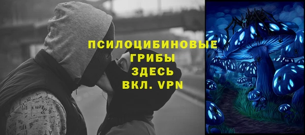 стаф Богородицк