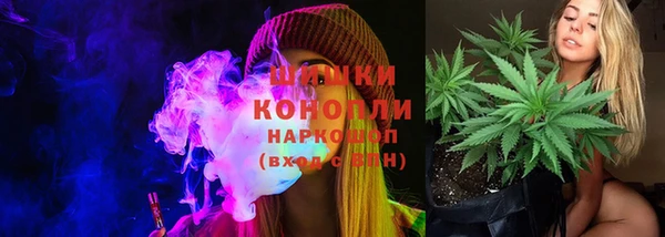стаф Богородицк