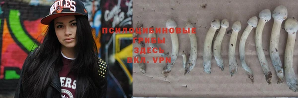 стаф Богородицк