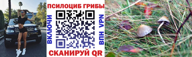 Галлюциногенные грибы Cubensis  Видное 